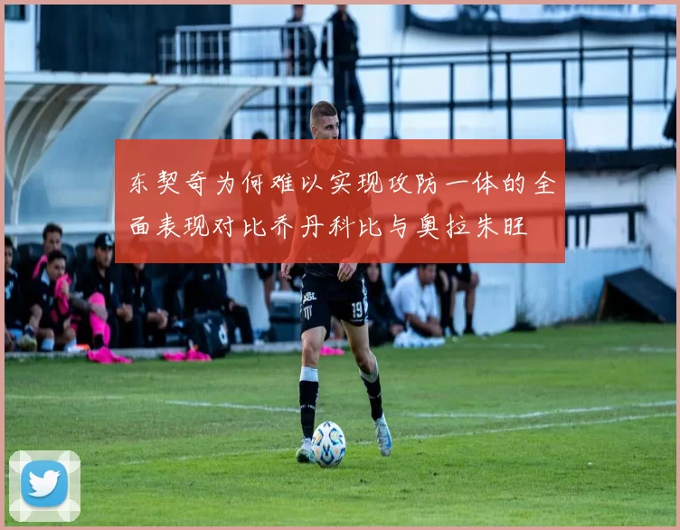 东契奇为何难以实现攻防一体的全面表现对比乔丹科比与奥拉朱旺